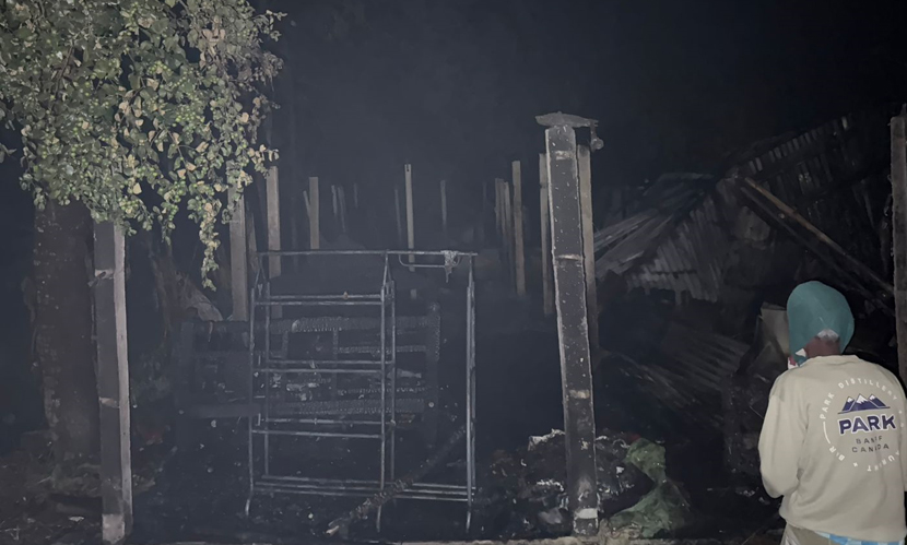 নাটোরে ভয়াবহ অগ্নিকাণ্ড, গবাদিপশুসহ কৃষকের বসতবাড়ি পুড়ে ছাই