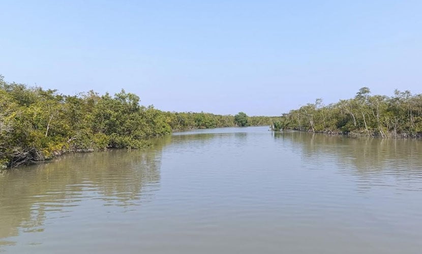 বিশ্ব ভালোবাসা দিবসে সুন্দরবনকে ভালোবাসুন