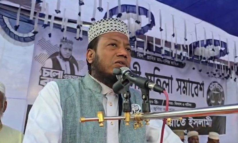 নির্বাচন অস্ট্রেলিয়া-উগান্ডা ক্রিকেট ম্যাচের মতো হবে: আমির হামজা
