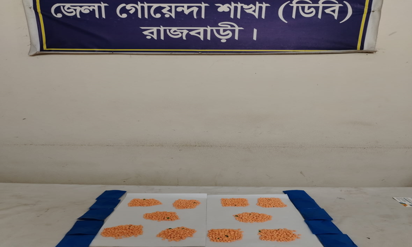 রাজবাড়ীতে দুই হাজার ইয়াবা ট্যবলেটসহ যুবক গ্রেফতার
