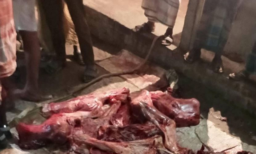টাঙ্গাইলে ঘোড়া জবাই করে মাংস প্রস্তুতের সময় আটক ৪