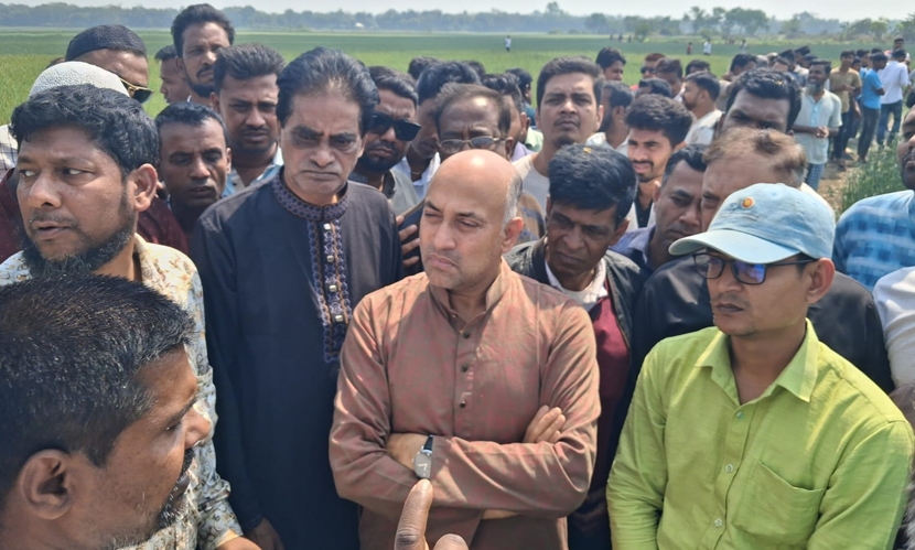 বালিয়াকান্দিতে বিষ দিয়ে ২৫ একর জমির পেঁয়াজখেত নষ্টের অভিযোগ