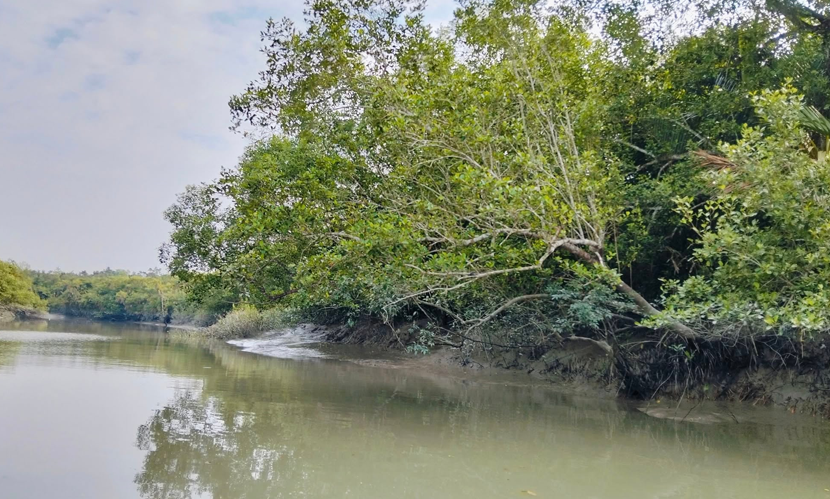 বঙ্গোপসাগরে ২০ জেলেকে অপহরণ করেছে বনদস্যুরা