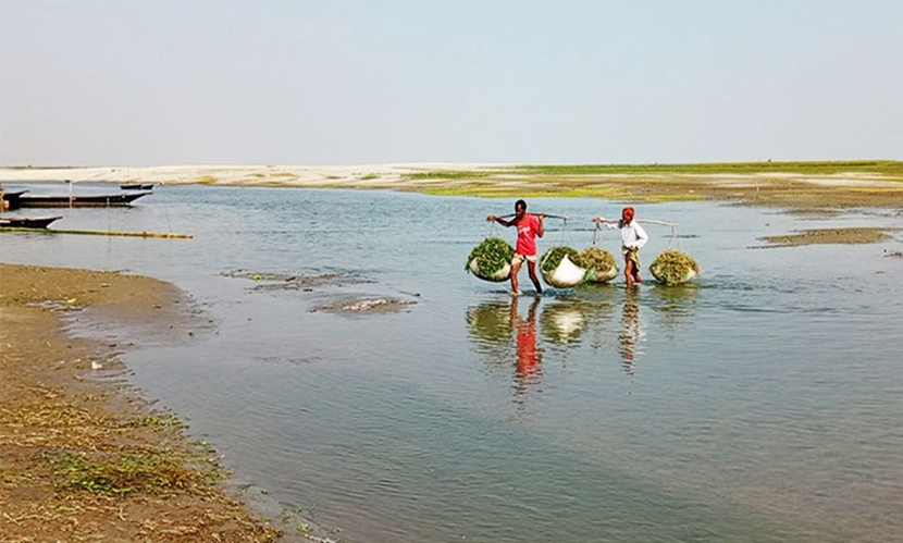 মাছ নেই, চলে না নৌকা—দিশেহারা যমুনা পাড়ের শ্রমজীবীরা