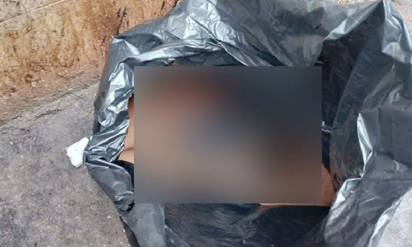 হাত-পায়ের পর এবার যাত্রাবাড়ি থেকে খণ্ডিত মাথা উদ্ধার