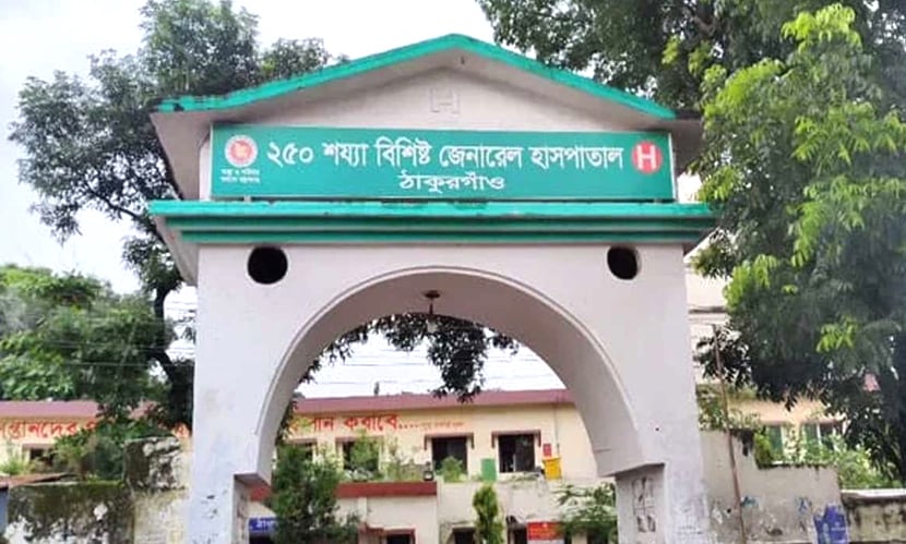 ঠাকুরগাঁওয়ে ‘হায়না’র আক্রমণে গৃহবধূসহ ৫ গবাদি পশু আহত