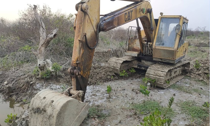ঘোষণায় ‘জিরো টলারেন্স’, বাস্তবে অবাধে প্যারাবন নিধন