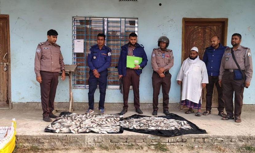 মুন্সীগঞ্জে ৭০ কেজি জাটকা ইলিশ জব্দ, মাদ্রাসায় বিতরণ