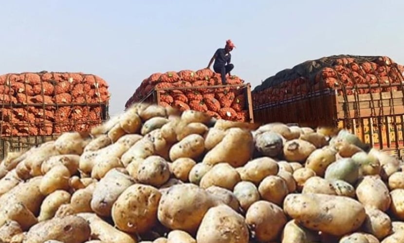 বাংলাদেশি আলু রফতানির জন্য ভিয়েতনামের বাজার উন্মুক্ত