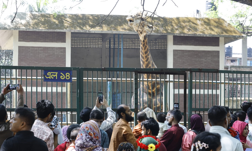 ঈদের আনন্দে চিড়িয়াখানায় উপচে পড়া ভিড়, মুগ্ধ দর্শনার্থীরা