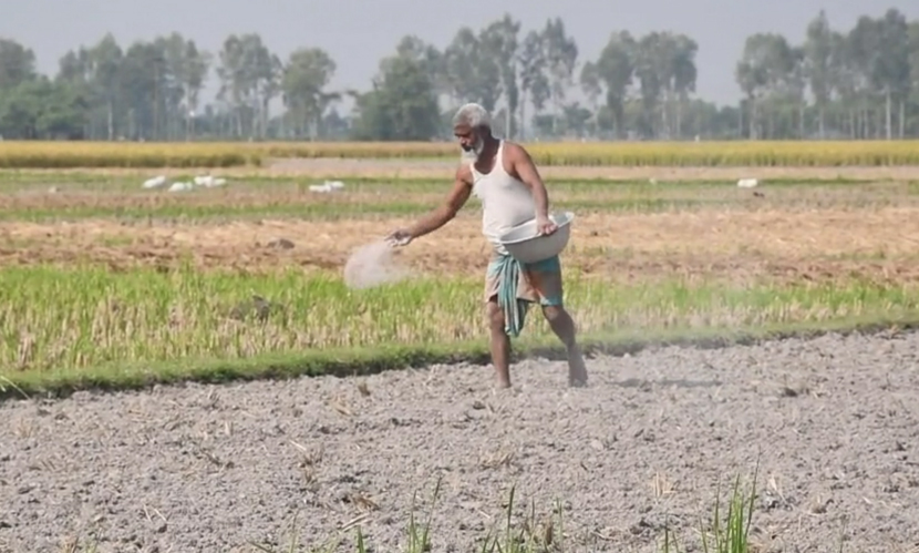 সার পাচারে রামুতে কৃত্রিম সংকট, দ্বিগুণ দামে কিনতে বাধ্য হচ্ছেন কৃষকরা