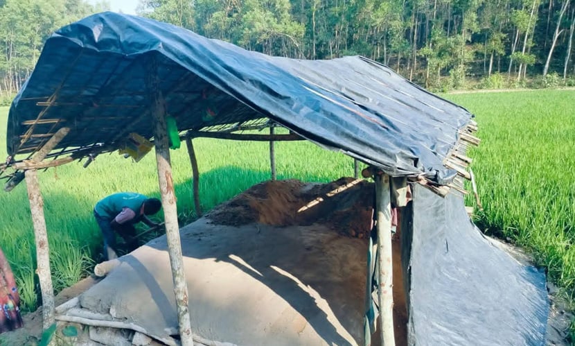 বন্যহাতি হত্যার পর মাটিচাপা, ওপরে ঘর নির্মাণ !