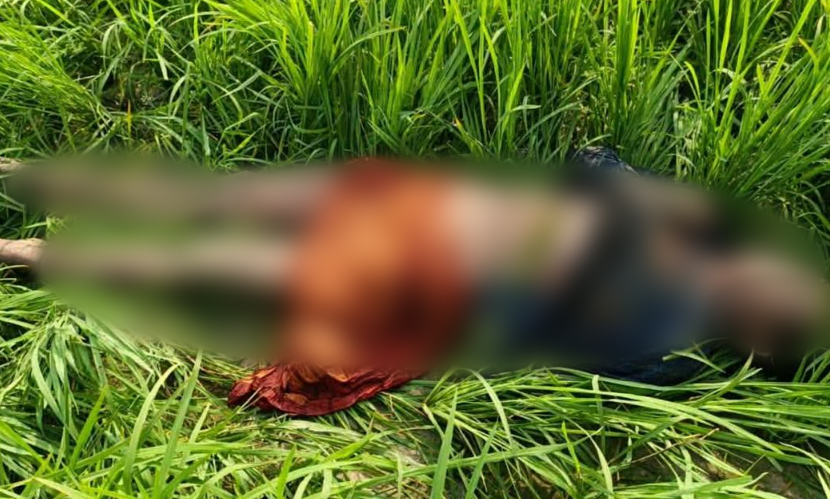 রাজবাড়ীতে ধানক্ষেত থেকে যুবকের মরদেহ উদ্ধার