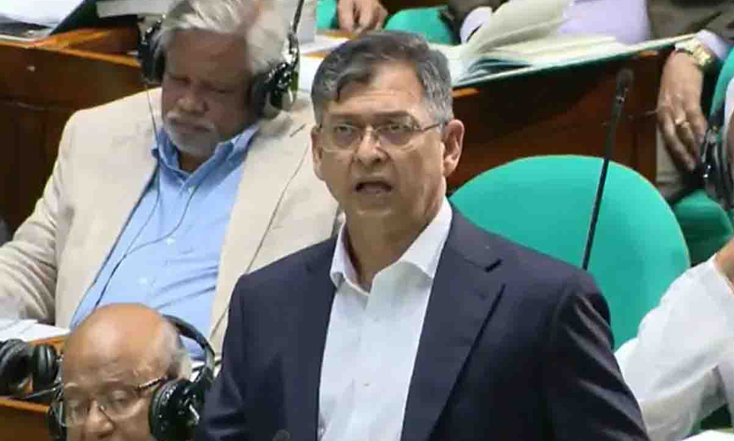 গণভোটের রায় বাস্তবায়ন করতে সংবিধান সংশোধন করতে হবে: সালাহউদ্দিন