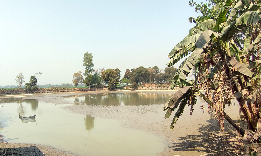 রাণীনগরে মামলার জটে সরকারি পুকুর, রাজস্ব হারাচ্ছে সরকার