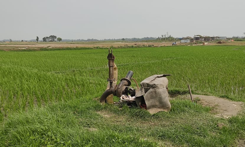 সেচের অভাবে চলনবিলে বোরো চাষ নিয়ে শঙ্কায় কৃষক