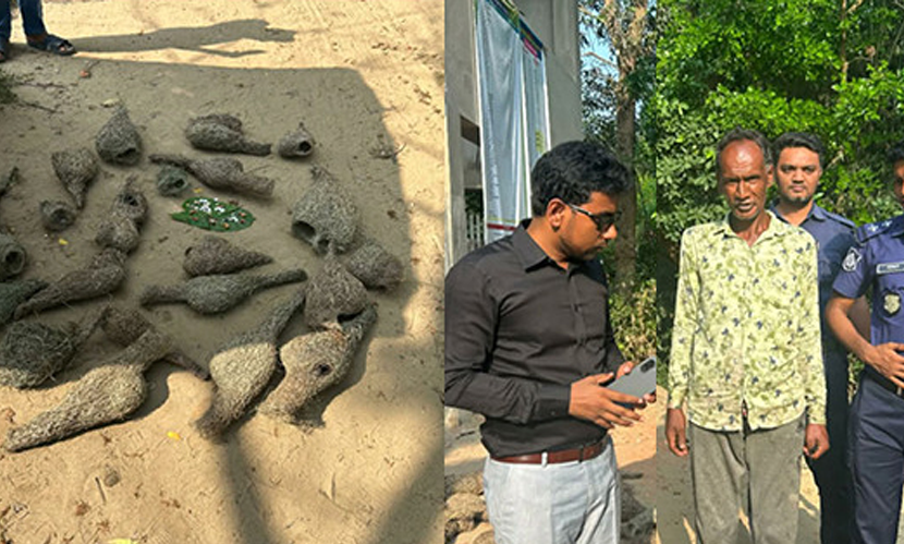 বাবুই পাখির বাসা ভাঙা ও ছানা মারার দায়ে ১ জনের দণ্ড