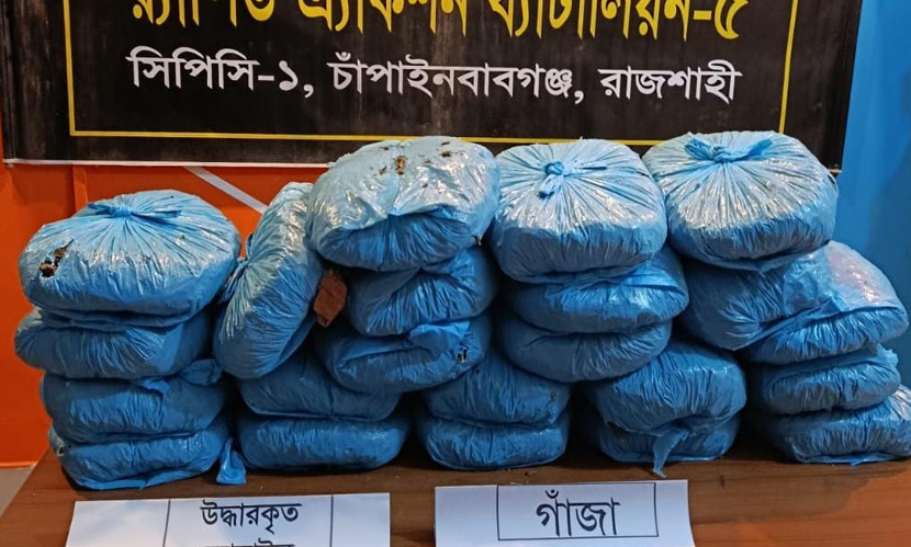 চাঁপাইনবাবগঞ্জে কুরিয়ারে গাঁজা পাচারের সময় আটক ১