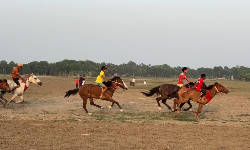 পাংশার পেপুলবাড়িয়ার মাঠে শতবর্ষের ঐতিহ্য ঘোড়দৌড় অনুষ্ঠিত