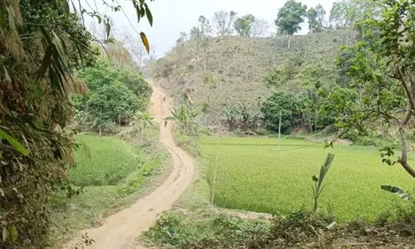 হাতি তাড়াতে গিয়ে নিখোঁজ ৩ রোহিঙ্গা, অপহরণের অভিযোগ