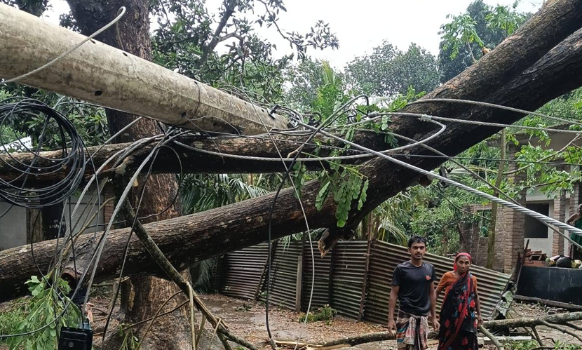 যশোরে কালবৈশাখী ঝড়, বজ্রপাতে কৃষক নিহত