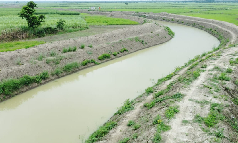 বিএমডির প্রযুক্তিতে চাঁপাইনবাবগঞ্জে কৃষকের মুখে হাসি, বাড়ছে উৎপাদন