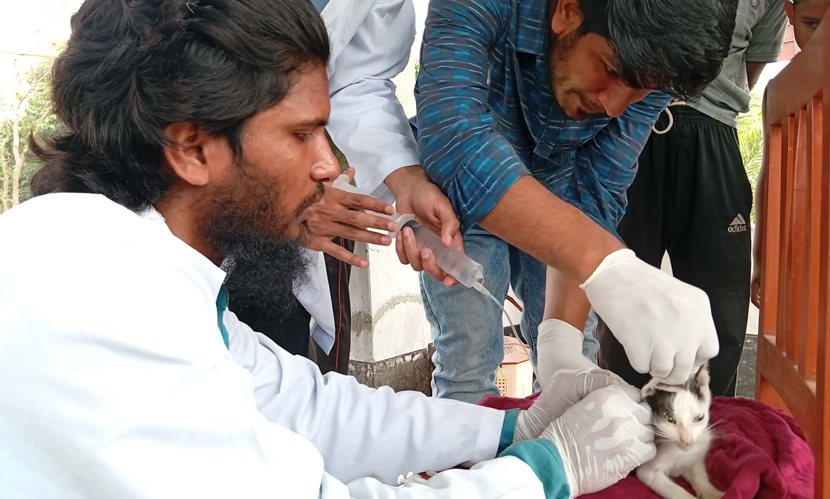 রাবিতে ফ্রি ভেটেরিনারি ক্যাম্প, গবাদিপশু ও পোষা প্রাণীর চিকিৎসা সেবা