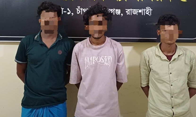 নাচোলে ৪৬ কেজি গাঁজাসহ আটক ৩