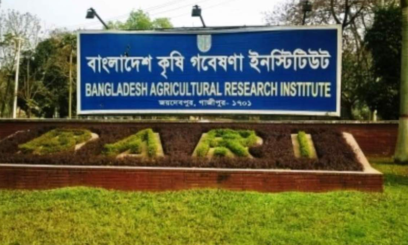 ১৯১ টি পদে নিয়োগ দিচ্ছে কৃষি গবেষণা ইনস্টিটিউট