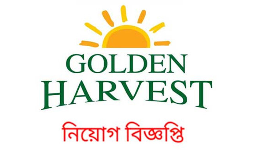 অভিজ্ঞতা ছাড়াই চাকরি দিচ্ছে গোল্ডেন হারভেস্ট