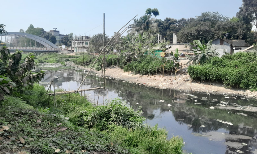 দখল, দূষণ আর অযত্নে টাঙ্গাইল শহরের ২৭টি খাল বিলুপ্তির পথে