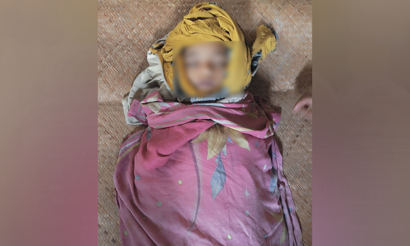 নানা বাড়ির পুকুরে ডুবে শিশুর মৃত্যু