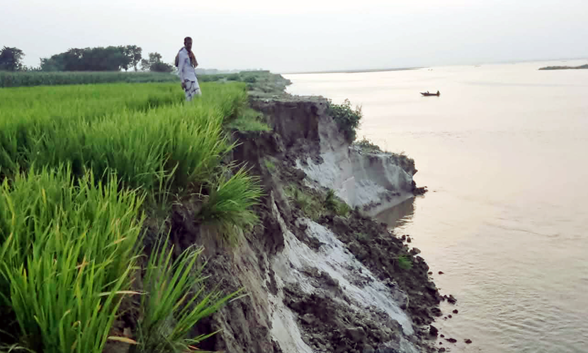 গোয়ালন্দে পদ্মার ভাঙন: বিলীন হচ্ছে কৃষিজমি, ঝুঁকিতে বিস্তীর্ণ এলাকা