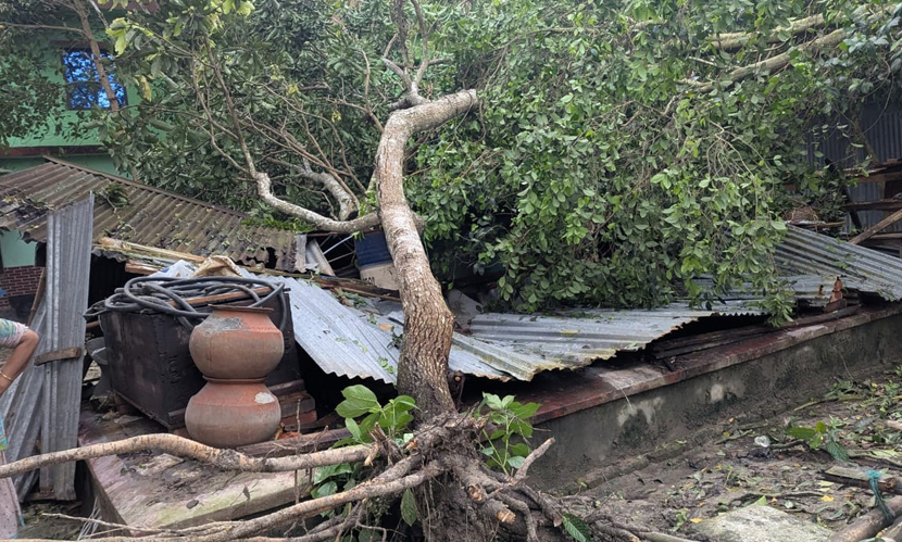 কসবায় কালবৈশাখীর তাণ্ডব, বিদ্যুৎ-ইন্টারনেট সংযোগ বিচ্ছিন্ন হাজারো মানুষ