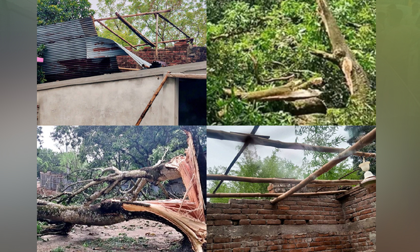 আম বাগান ও ঘরবাড়ির ব্যাপক ক্ষতি, ১১ ঘণ্টা বিদ্যুৎবিচ্ছিন্ন