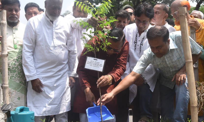 পাঁচ বছরে ৩ লাখ গাছ লাগানো হবে: ডিএসসিসি প্রশাসক