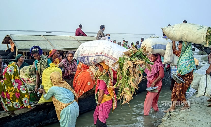 গাইবান্ধার ফুলছড়ি উপজেলায় ব্রহ্মপুত্র নদের চরের বাসিন্দারা প্রতিনিয়ত করে জীবন ও জীবিকার সঙ্গে লড়াই। ছবি: সারাবাংলা