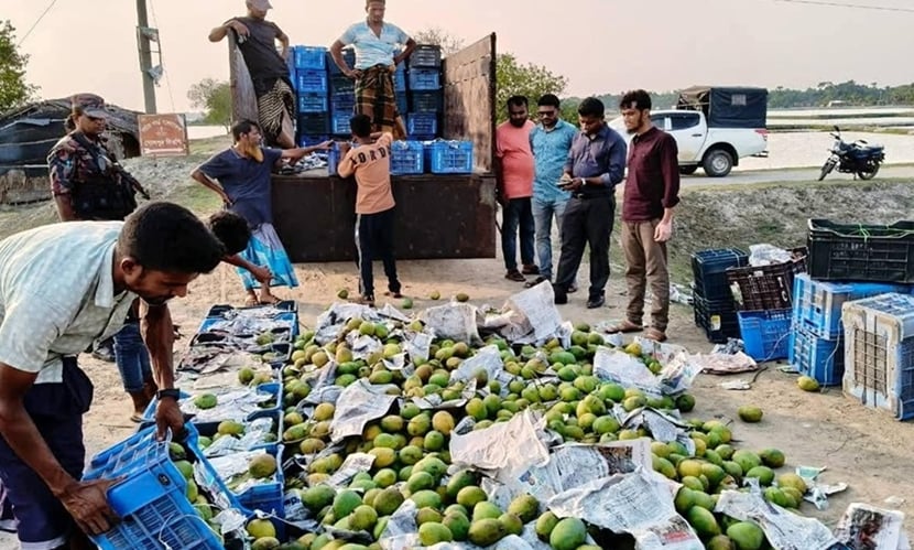 সাতক্ষীরায় ৩৩৬০ কেজি গোবিন্দভোগ আম জব্দ