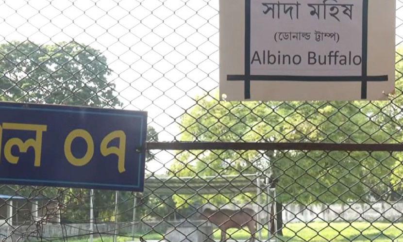 ‘ডোনাল্ড ট্রাম্প’ বানান ভুল, চিড়িয়াখানার কিউরেটরকে বদলি