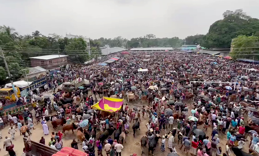 হাটভর্তি পশু থাকলেও গতি নেই বেচাকেনায়