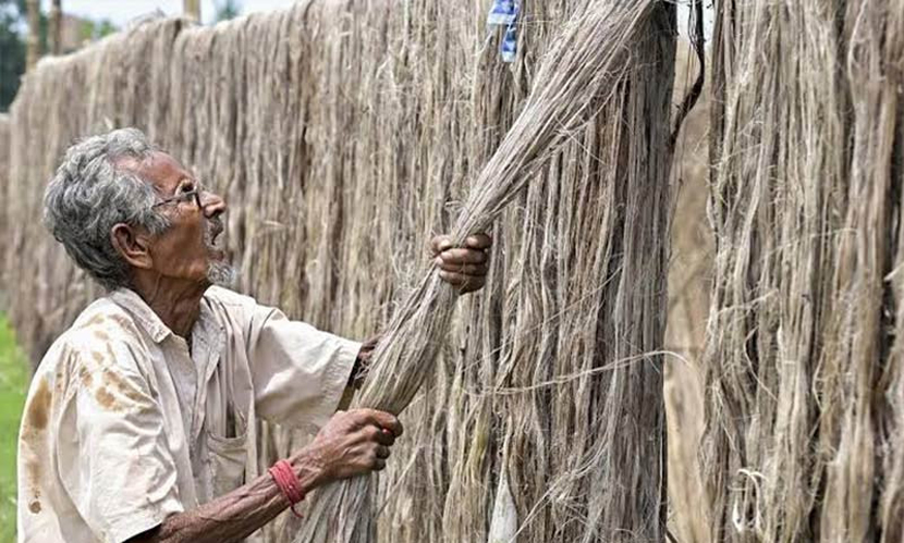 কাঁচা পাট রফতানিতে বেলপ্রতি ৪ টাকা ফি