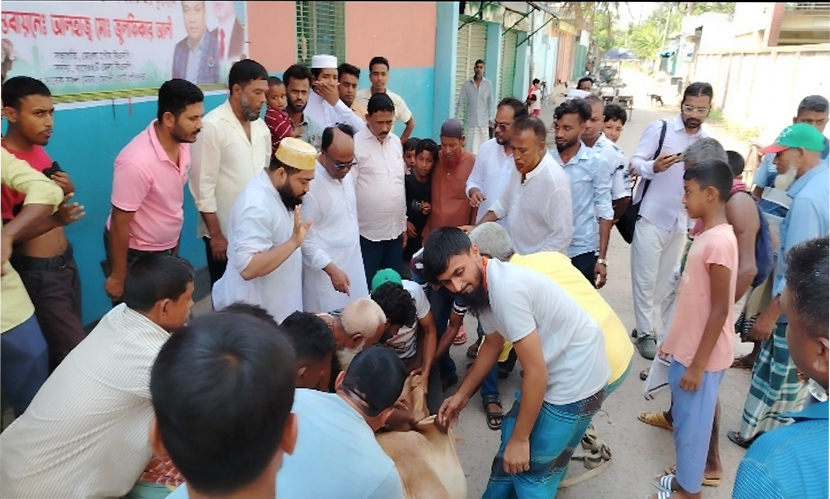 মোংলায় খালেদা জিয়ার নামে ৯ গরু কোরবানি ও গরীবের মাঝে বিতরণ