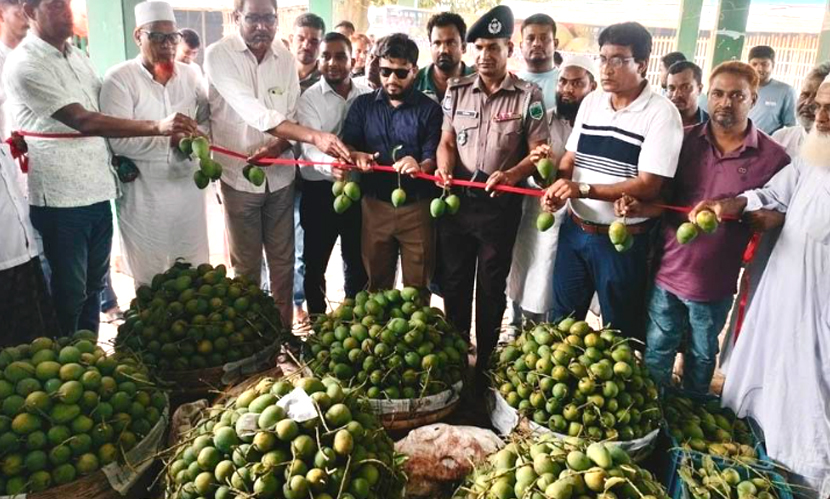 চাঁপাইনবাবগঞ্জের ভোলাহাট আম ফাউন্ডেশনে বেচাকেনা শুরু