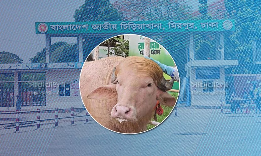 ঈদের দিন থেকে চিড়িয়াখানায় দেখা যাবে ‘ডোনাল্ড ট্রাম্প’কে!