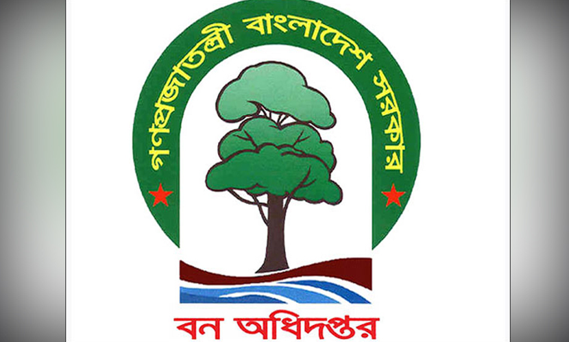 বন অধিদফতরে চাকরির সুযোগ