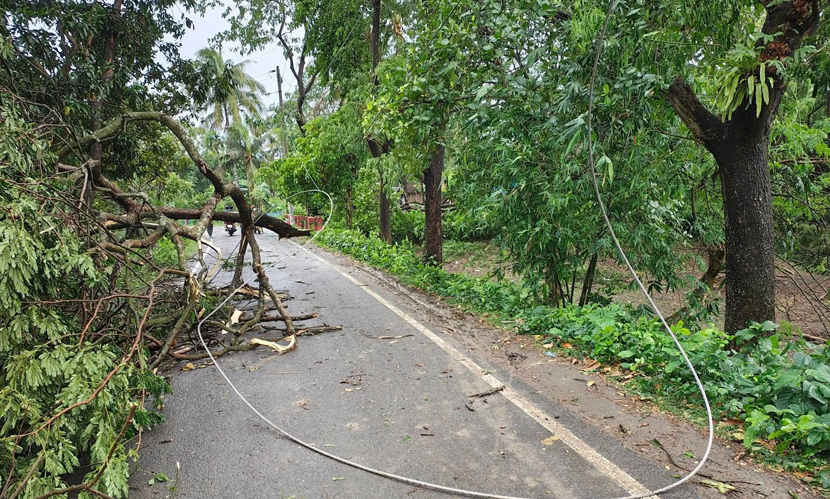 সাতক্ষীরায় কালবৈশাখীর তাণ্ডব: শিশুর মৃত্যু, বিদ্যুৎহীন ২০ হাজার গ্রাহক