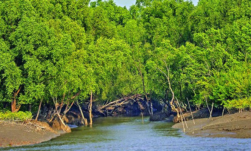 সুন্দরবন বন্ধ ৩ মাস, জীবিকার সংকটে হাজারো বনজীবী