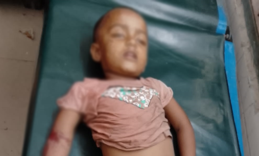 চুয়াডাঙ্গায় দ্রুতগামী ইজিবাইকের ধাক্কায় শিশু নিহত