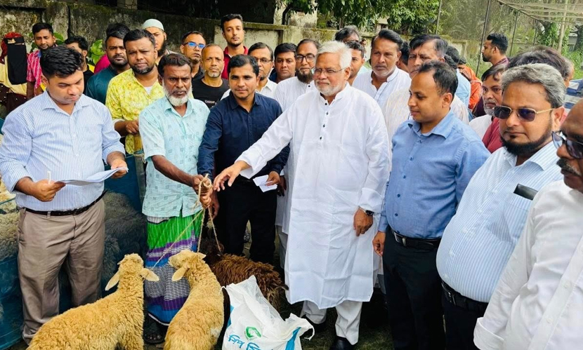 কেরানীগঞ্জে প্রান্তিক মানুষের জীবনমান উন্নয়নে ভেড়া বিতরণ