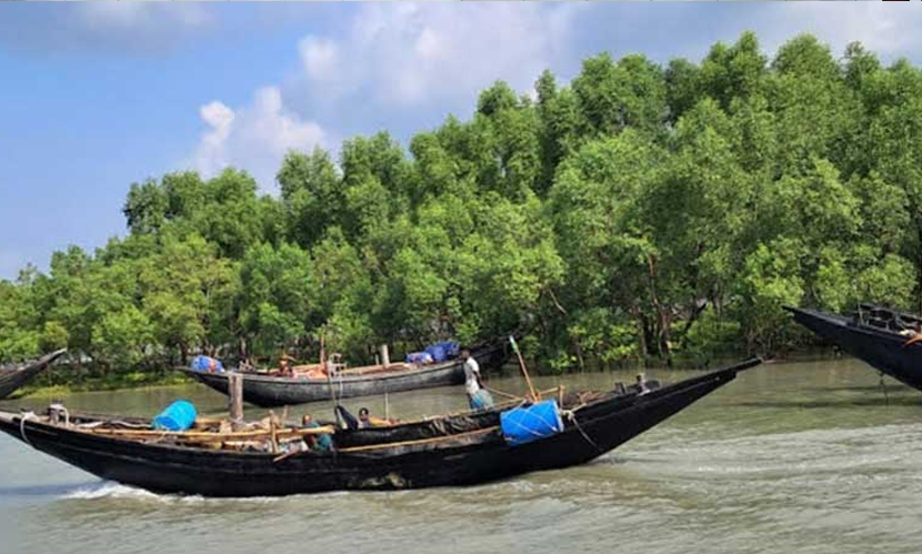 সুন্দরবনের ১২ জেলেকে ধরে নিয়ে গেছে ‘জাহাঙ্গীর বাহিনী’